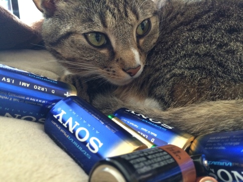 Luna with Sony batteries